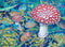 Amanita Mushroom Spots