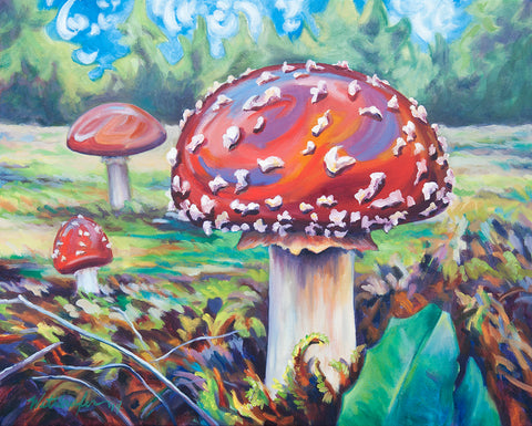 Amanitas At The Beach