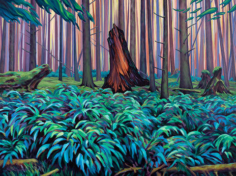 Cedar Snag With Audience Of Ferns