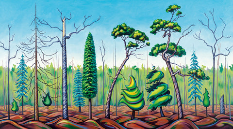 Connected Realm - Haida Gwaii Bog Life