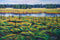 Delkatla Green Gold Tide