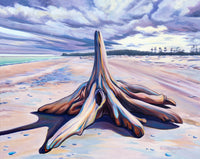 Driftwood Tree Remnant