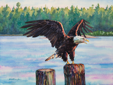 Eagle Sounds Masset Harbour