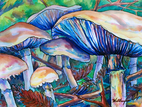 Eye Level Mushroom Study
