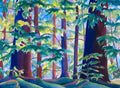 Forest Filtered Light