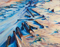 Frozen Driftwood Shadows