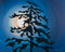 Marwell Supermoon