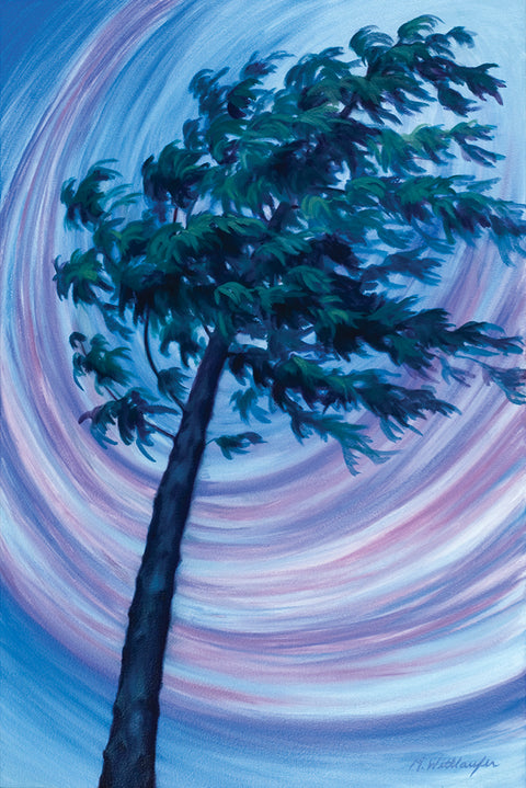 Masset Wind Gauge Tree