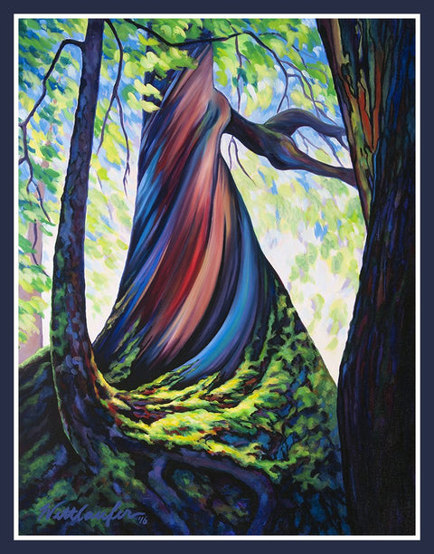 Cedar Fringe