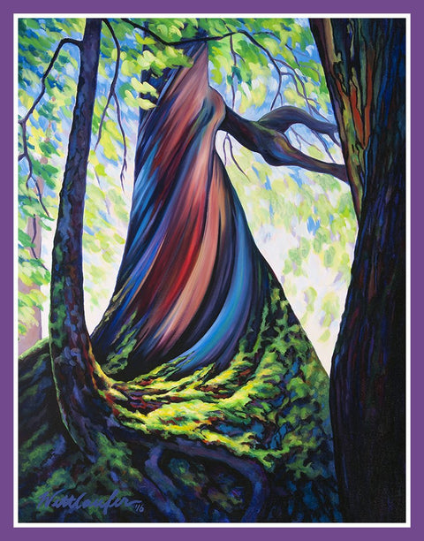 Cedar Fringe
