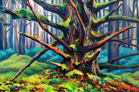 Naikoon Forest