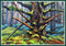 Naikoon Forest