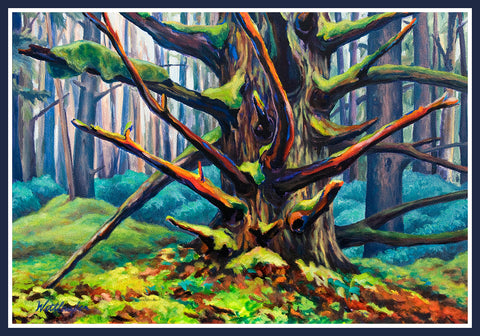 Naikoon Forest