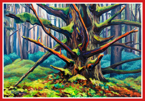 Naikoon Forest