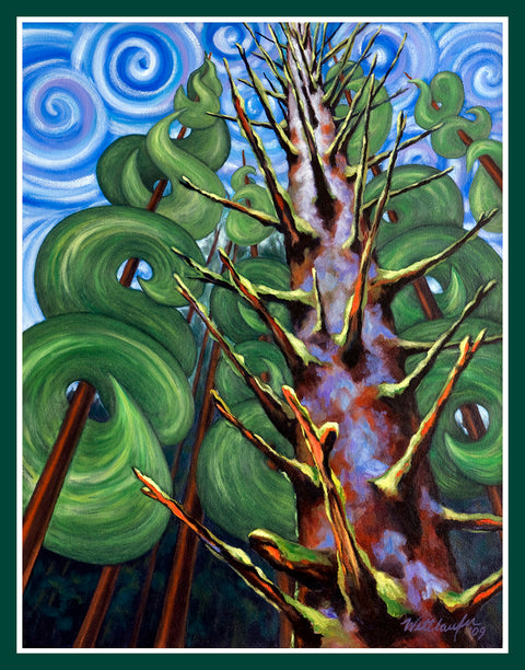 Spiralling Spruce