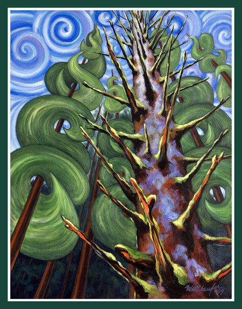 Spiralling Spruce