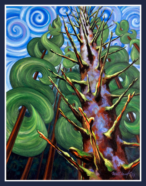Spiralling Spruce