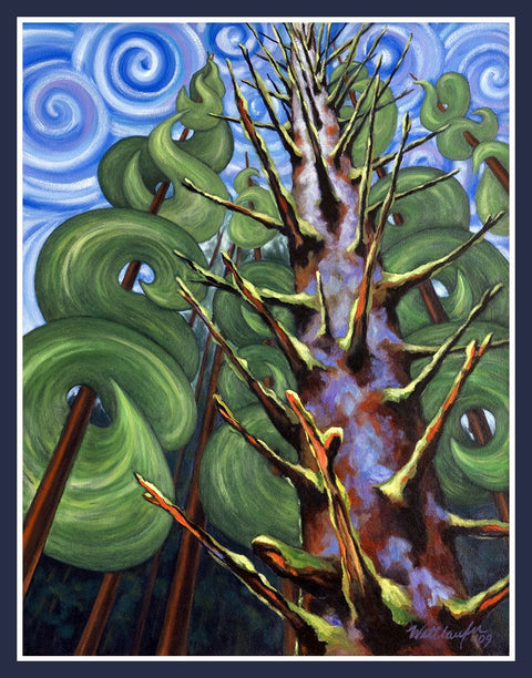 Spiralling Spruce
