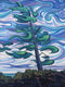 Windy Skies Shoreline