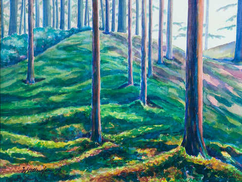 Naikoon Forest Dunes