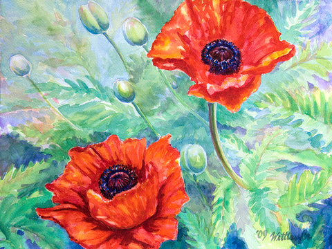 Poppies In My Garden
