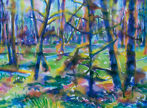 Rainy Mossy Forest