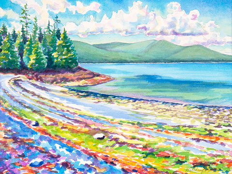 Tidal Seaweed Rainbow