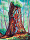 Tlell River Cedar Snag Study