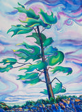 Tlell Wind And Tree