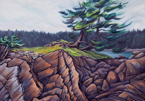 Weathered Rocks West Coast Haida Gwaii