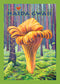 Chanterelle Sticker - HAIDA GWAII