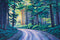 Tow Hill Road Glow